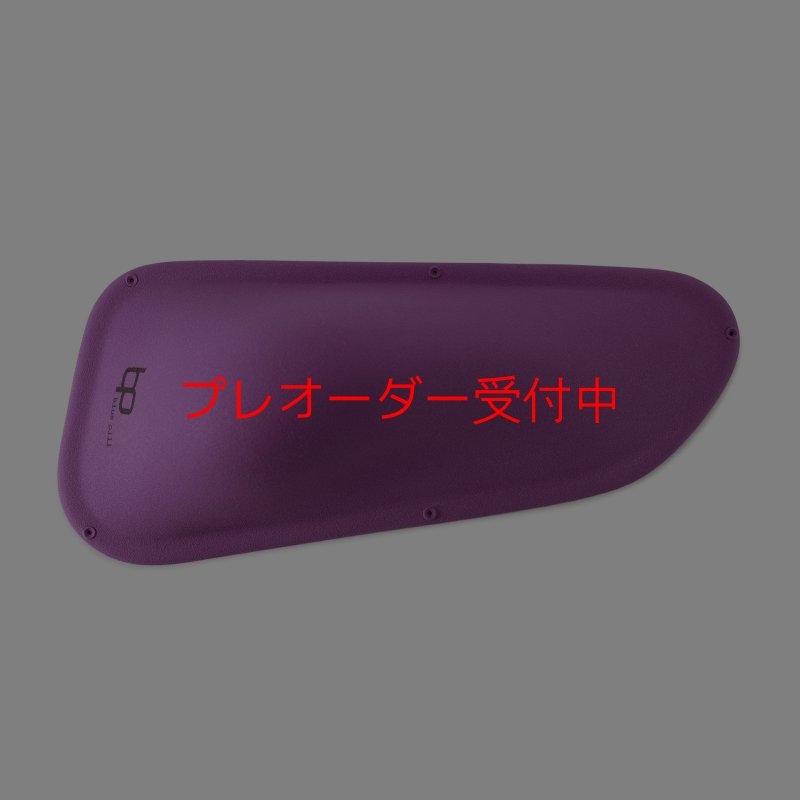 画像3: BP　ファイバー　インプレッション　20/プレオーダー (3)