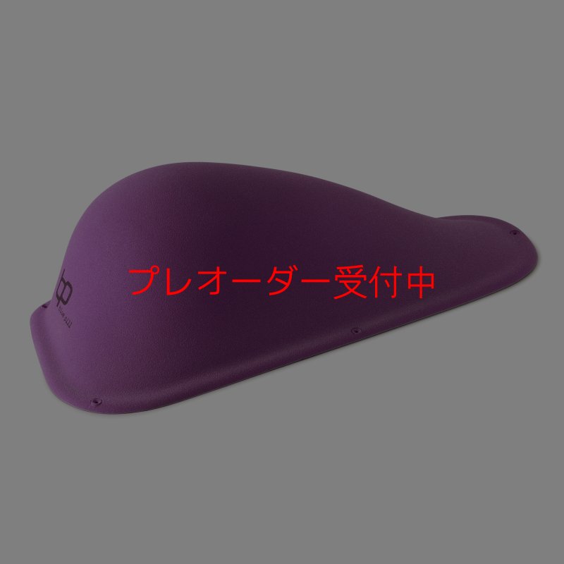 画像2: BP　ファイバー　インプレッション　17/プレオーダー (2)