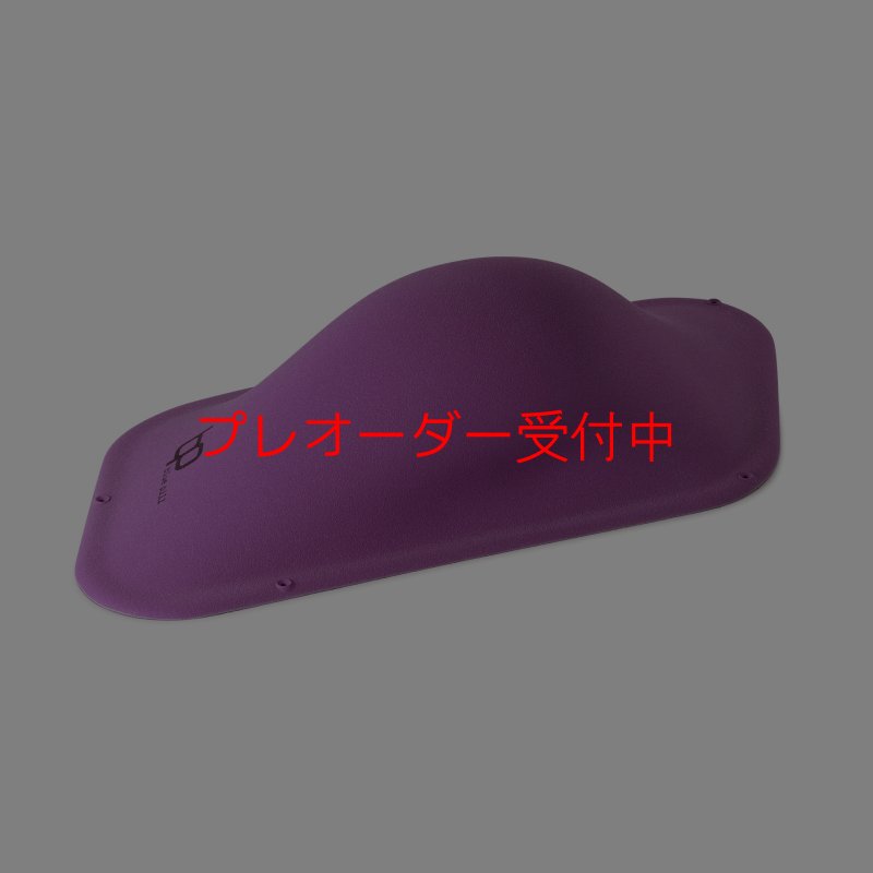 画像1: BP　ファイバー　インプレッション　21/プレオーダー (1)