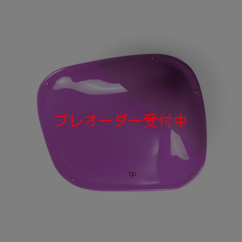 画像3: BP デュアルテクスチャー ファイバーインプレッション8/プレオーダー (3)