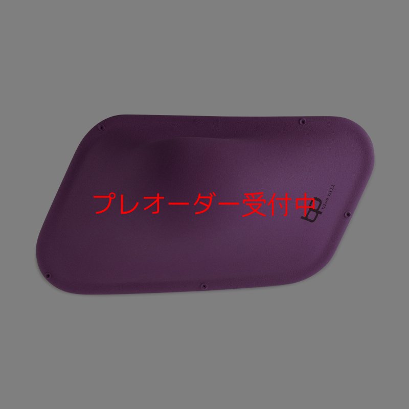 画像3: BP　ファイバー　インプレッション　21/プレオーダー (3)
