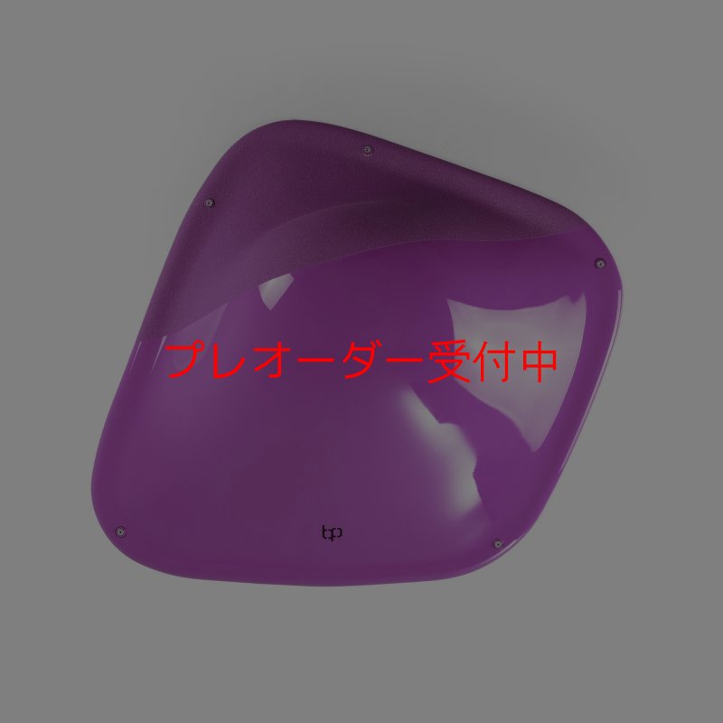 画像3: BP デュアルテクスチャー ファイバーインプレッション9/プレオーダー (3)