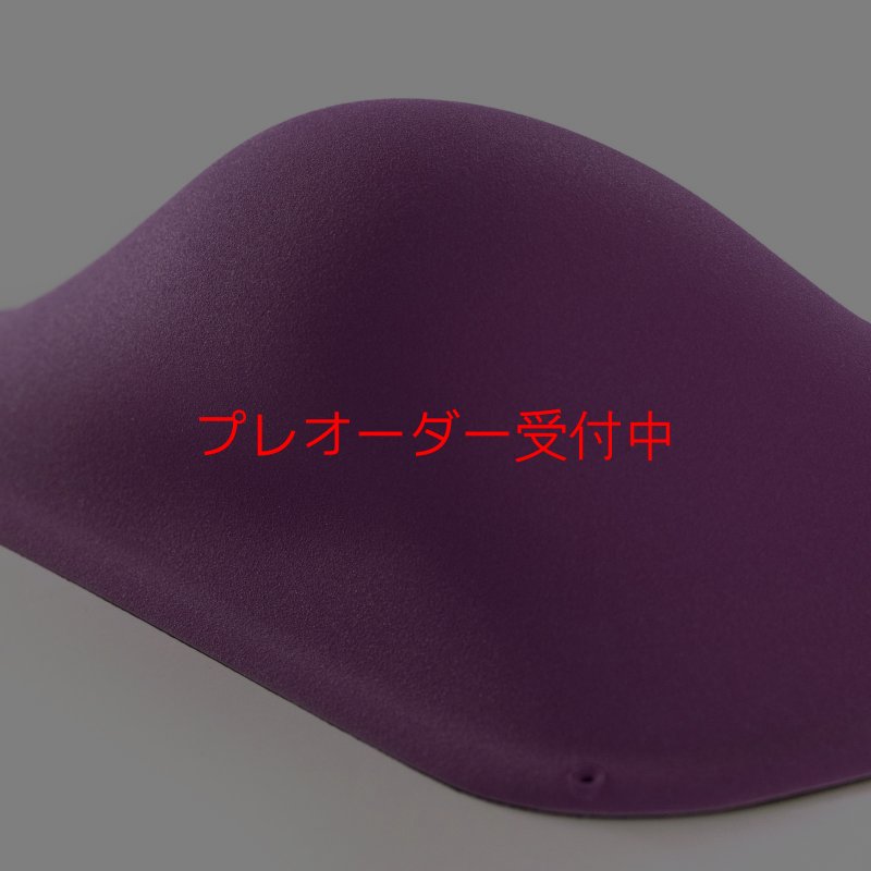 画像4: BP　ファイバー　インプレッション　21/プレオーダー (4)
