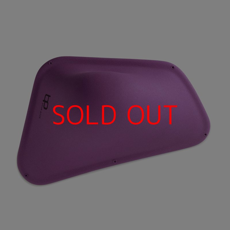 画像3: BP　ファイバー　インプレッション　22 (3)