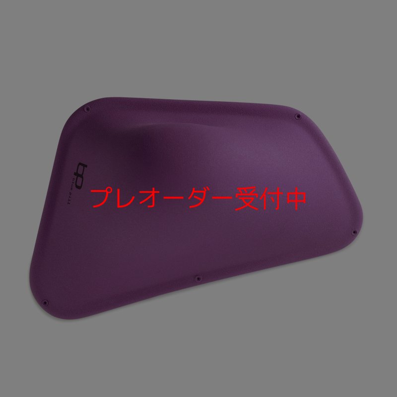 画像3: BP　ファイバー　インプレッション　22/プレオーダー (3)