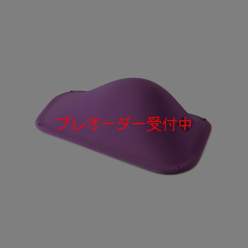 画像2: BP　ファイバー　インプレッション　19/プレオーダー (2)