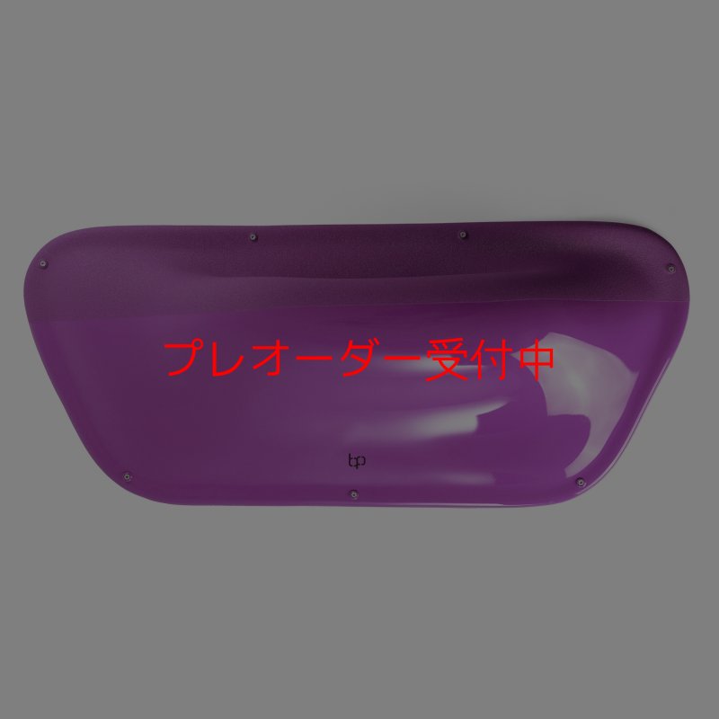 画像3: BP デュアルテクスチャー ファイバーインプレッション3/プレオーダー (3)