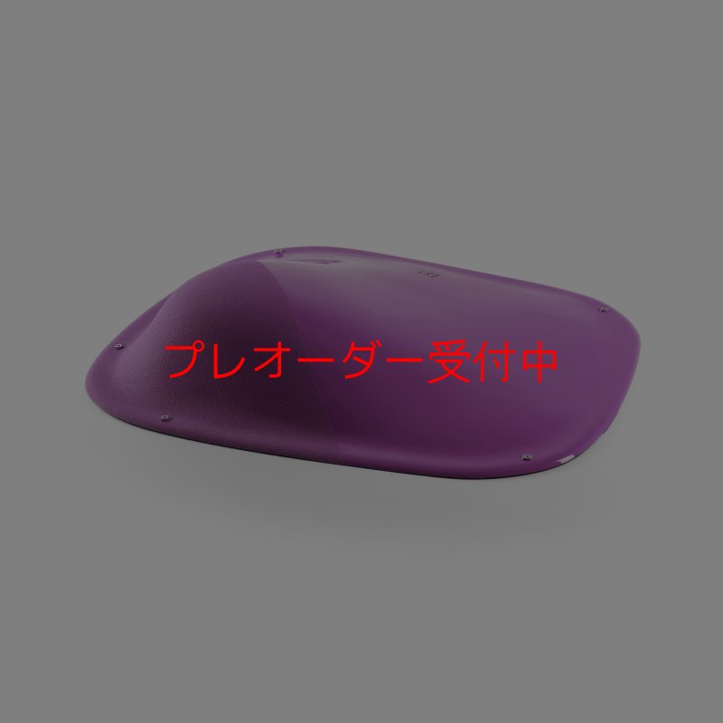 画像2: BP デュアルテクスチャー ファイバーインプレッション8/プレオーダー (2)