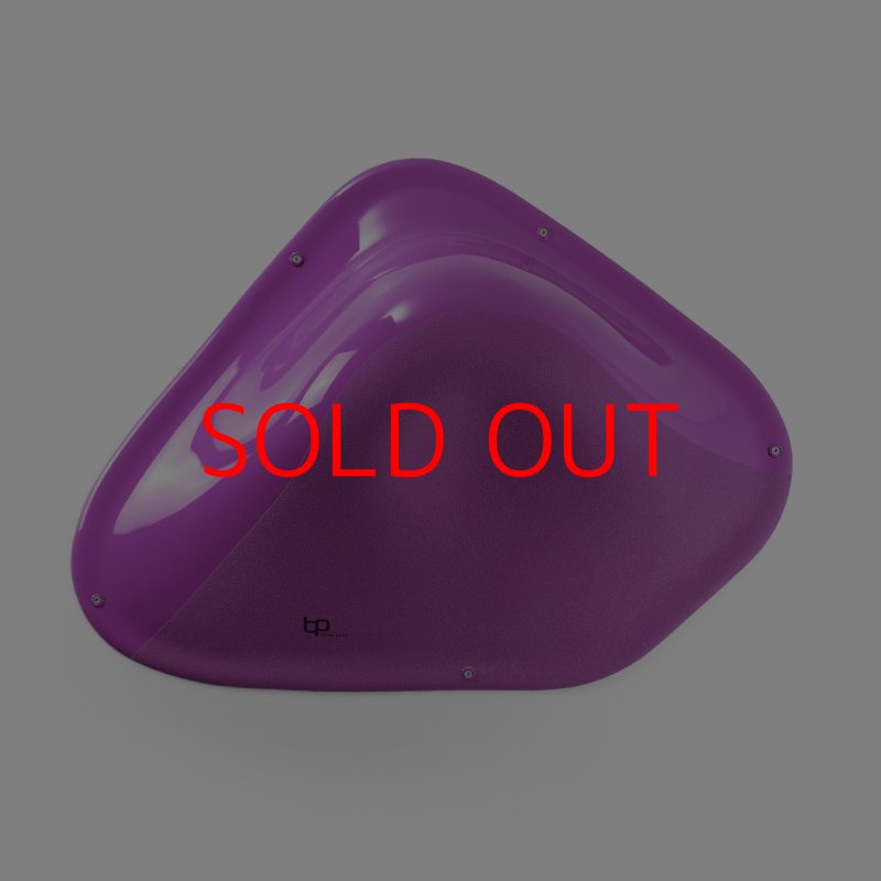 画像3: BP　デュアルテクスチャー　ファイバーインプレッション5 (3)