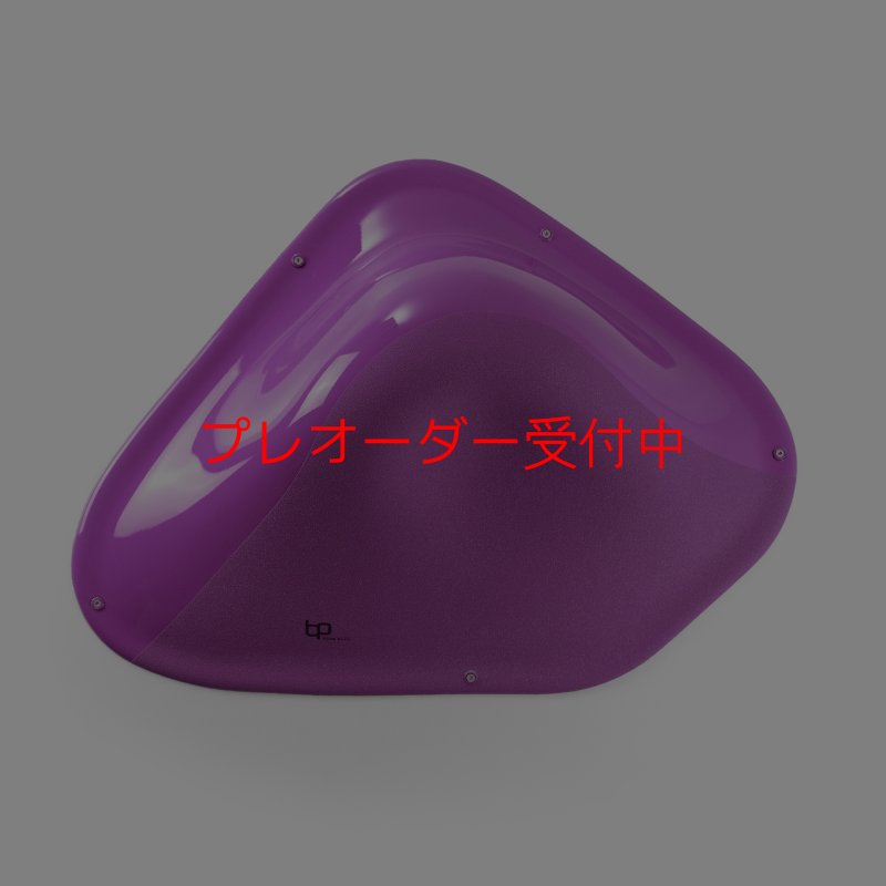 画像3: BP デュアルテクスチャー ファイバーインプレッション5/プレオーダー (3)
