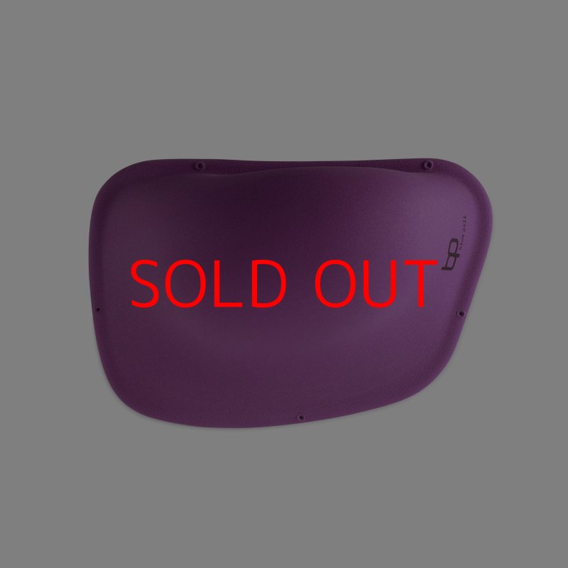 画像3: BP　ファイバー　インプレッション　18 (3)