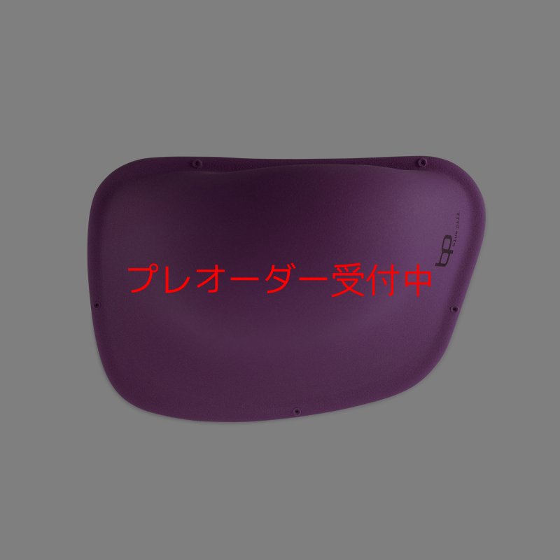 画像3: BP　ファイバー　インプレッション　18/プレオーダー (3)
