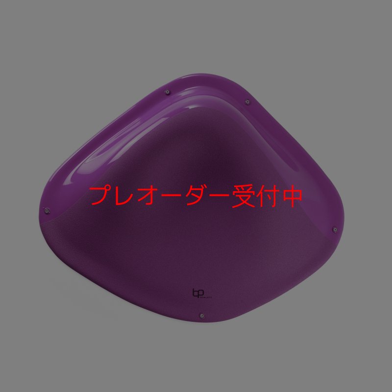画像3: BP デュアルテクスチャー ファイバーインプレッション4/プレオーダー (3)