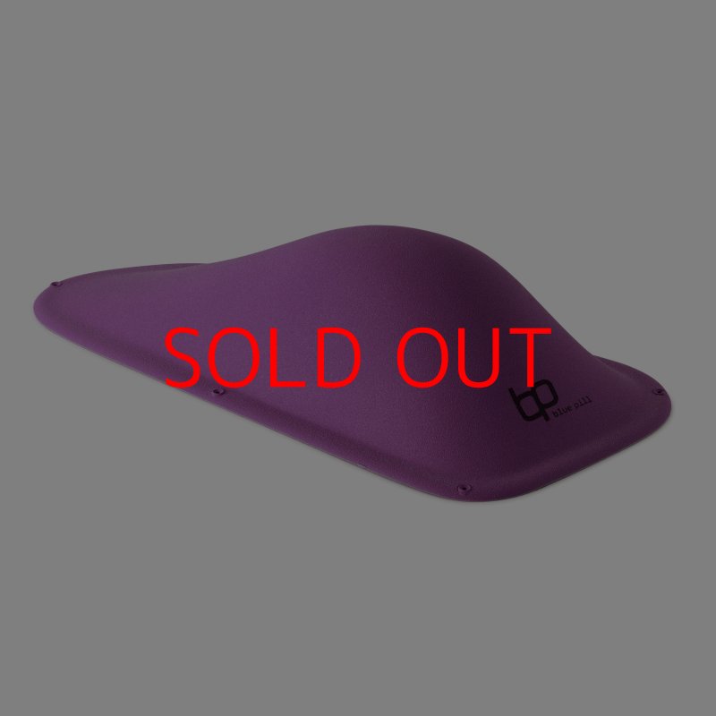 画像2: BP　ファイバー　インプレッション　20 (2)