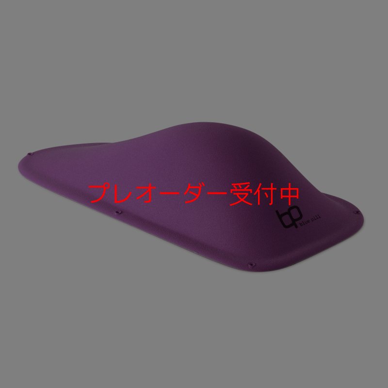 画像2: BP　ファイバー　インプレッション　20/プレオーダー (2)