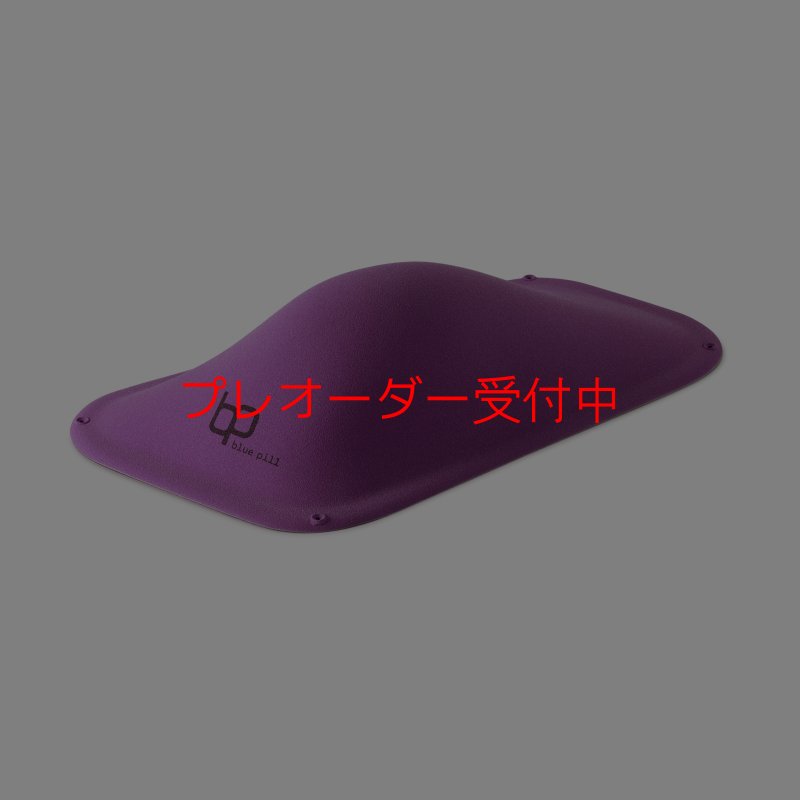 画像1: BP　ファイバー　インプレッション　19/プレオーダー (1)