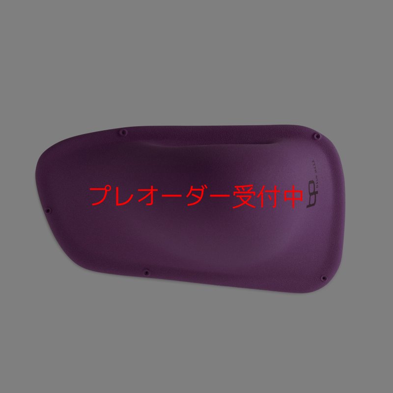 画像3: BP　ファイバー　インプレッション　16/プレオーダー (3)