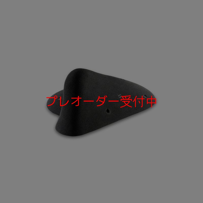 画像2: BP　OG　ビッグリップ/プレオーダー (2)