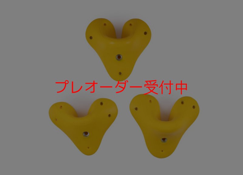 画像2: SQ Sick Slopers 10(Sick19)/プレオーダー (2)