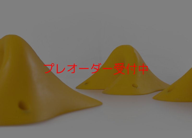 画像3: SQ Sick Slopers 10(Sick19)/プレオーダー (3)