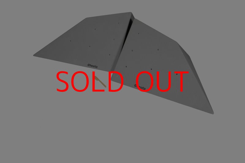 画像2: CT  Halfball XL2 (2)