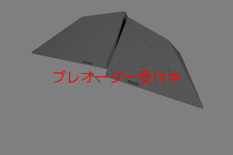 画像2: CT  Halfball XL2/プレオーダー (2)