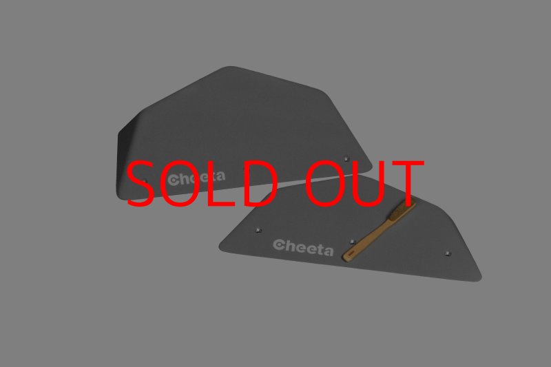 画像2: CT  Pack Ball XXS1 (2)