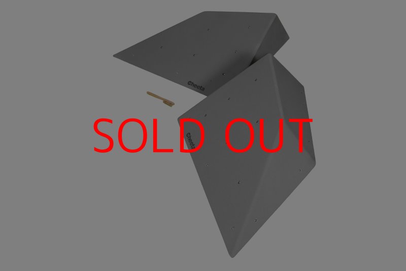 画像6: CT  Halfball L2 (6)