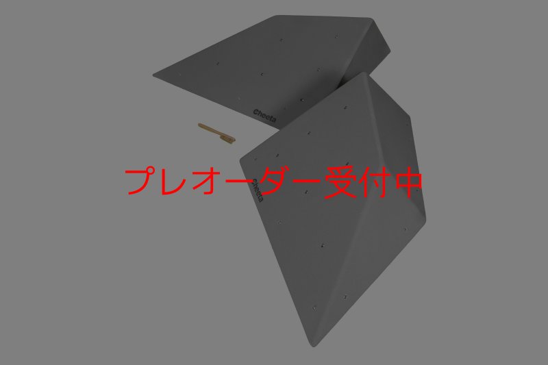 画像6: CT  Halfball L2/プレオーダー (6)