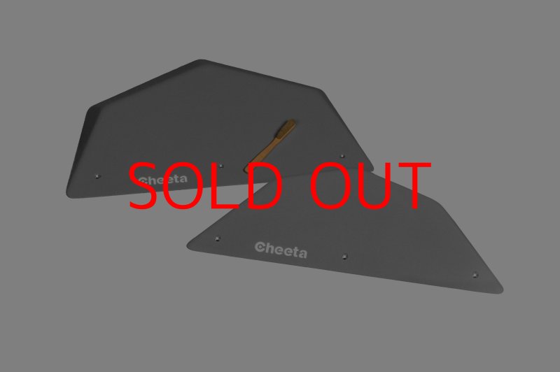 画像2: CT  Pack Ball XS2 (2)