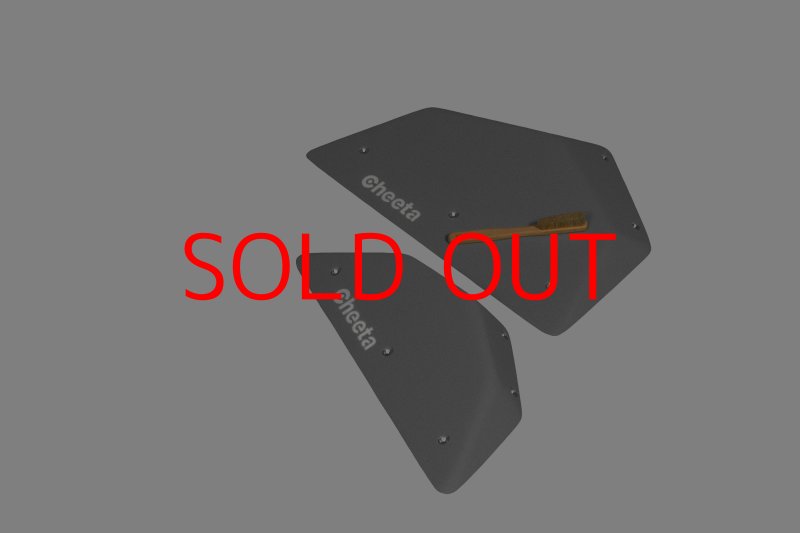 画像3: CT  Pack Ball XXS2 (3)