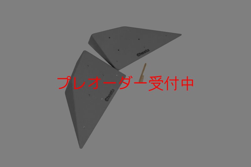 画像2: CT  Halfball M4/プレオーダー (2)