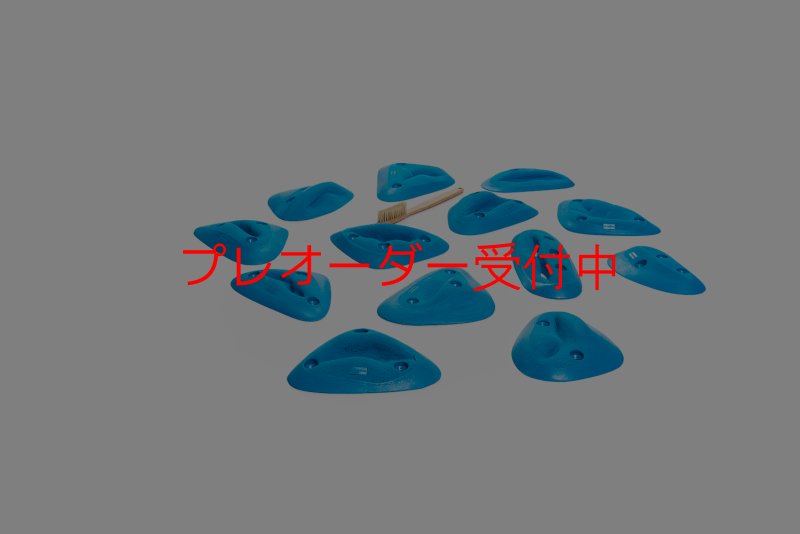 画像5: CT Volumholds Crack/プレオーダー (5)