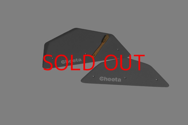 画像2: CT  Pack Ball XXS2 (2)