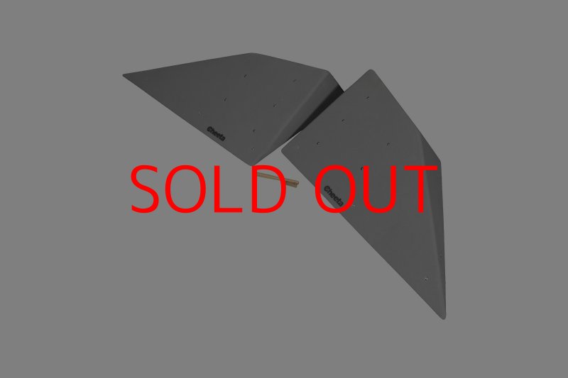 画像2: CT  Halfball XL4 (2)