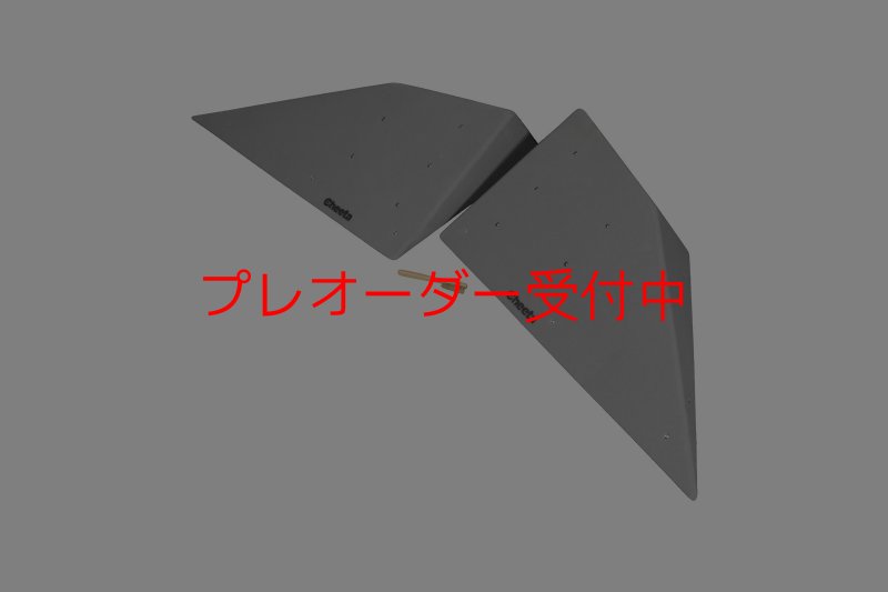 画像2: CT  Halfball XL4/プレオーダー (2)