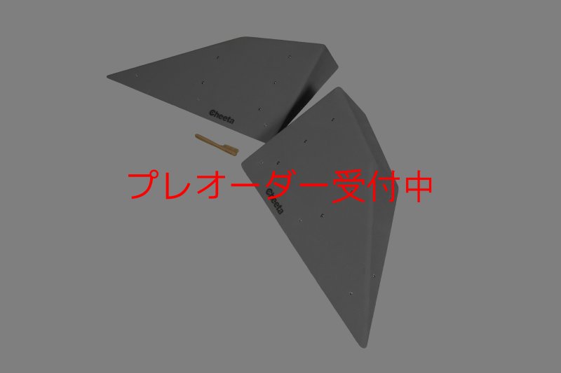画像6: CT  Halfball L4/プレオーダー (6)