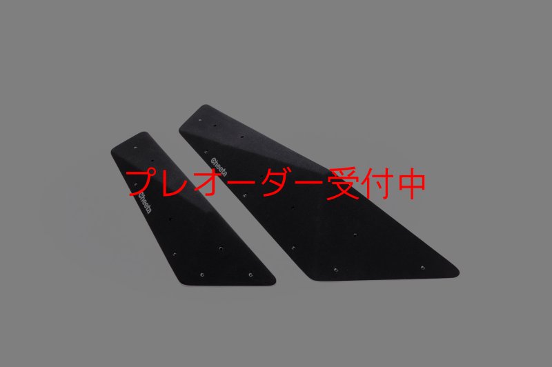 画像1: CT  Big Flat F*/プレオーダー (1)