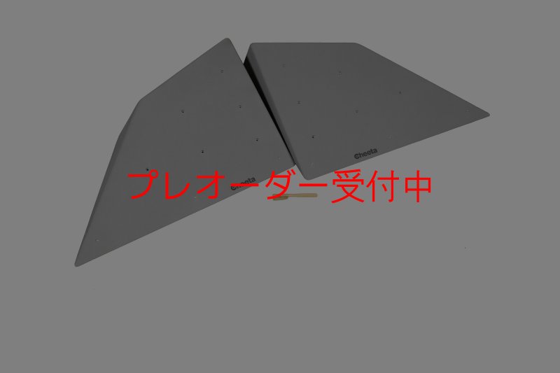 画像1: CT  Halfball XL2/プレオーダー (1)