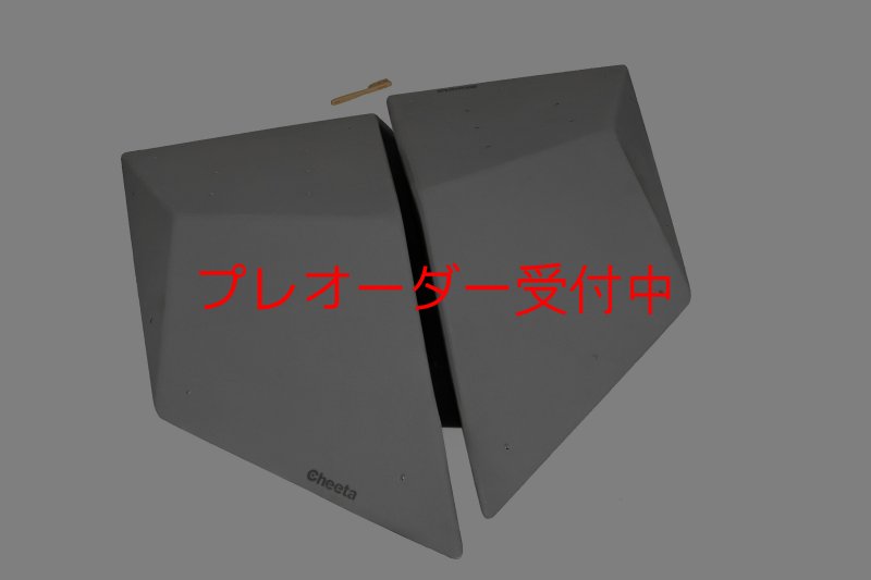 画像4: CT  Halfball M5/プレオーダー (4)