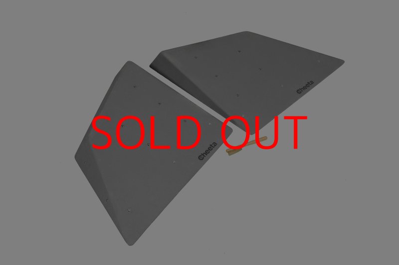 画像2: CT  Halfball M1 (2)