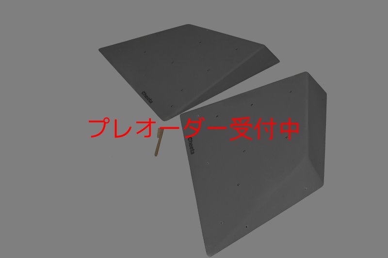 画像6: CT  Halfball L1/プレオーダー (6)