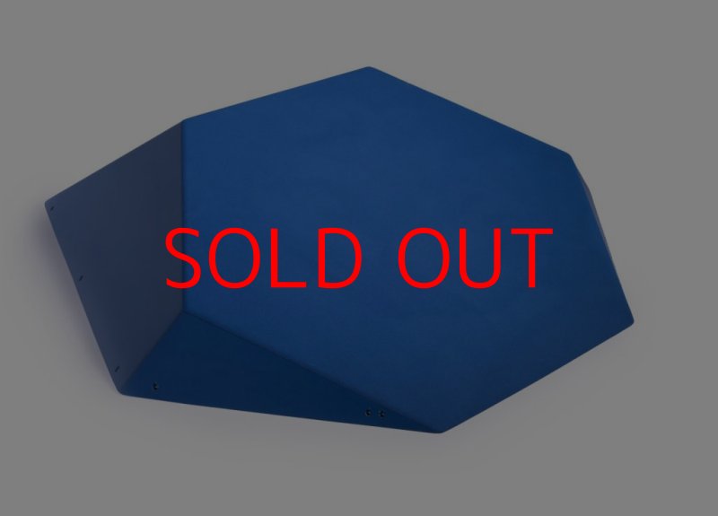 画像1: SQ FRUTTI DI BOSCO PRO 10 (1)