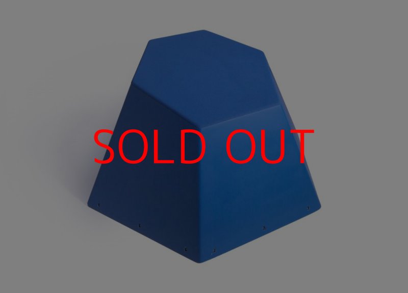 画像1: SQ FRUTTI DI BOSCO PRO 07 (1)