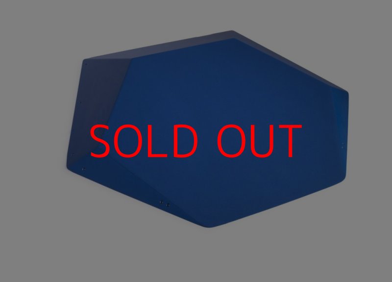 画像3: SQ FRUTTI DI BOSCO PRO 09 (3)