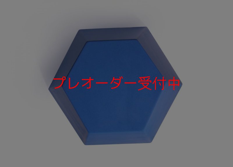 画像3: SQ　FRUTTI DI BOSCO PRO 07/プレオーダー (3)
