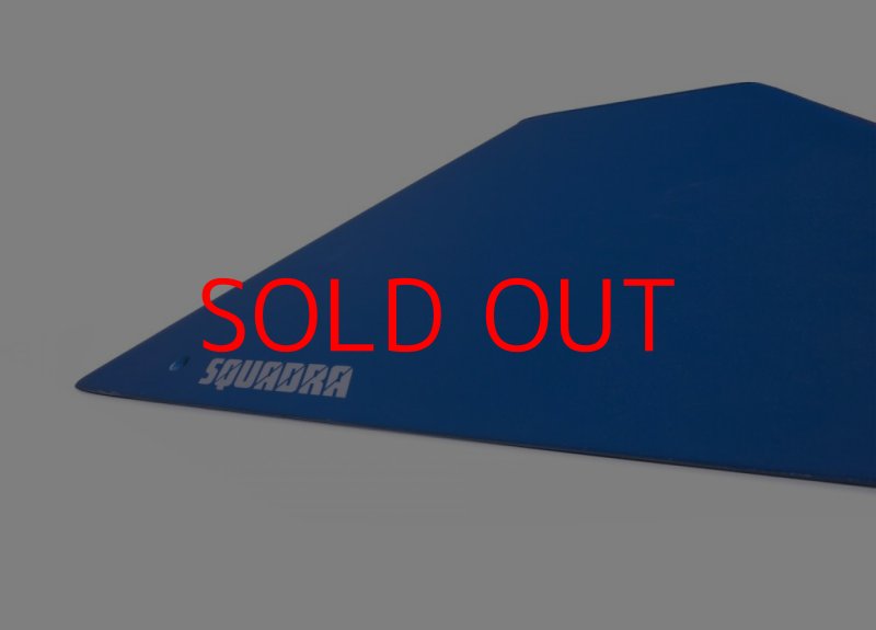 画像2: SQ　FRUTTI DI BOSCO PRO 08 (2)