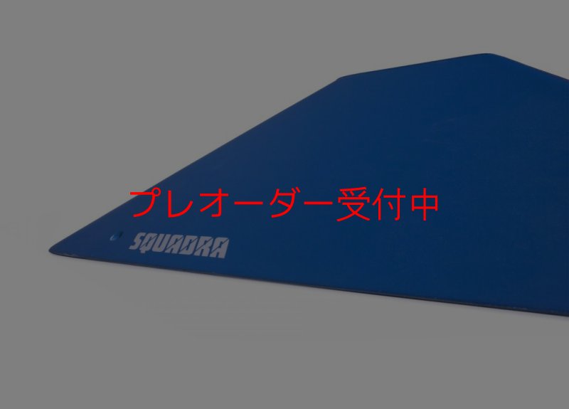 画像2: SQ　FRUTTI DI BOSCO PRO 08/プレオーダー (2)
