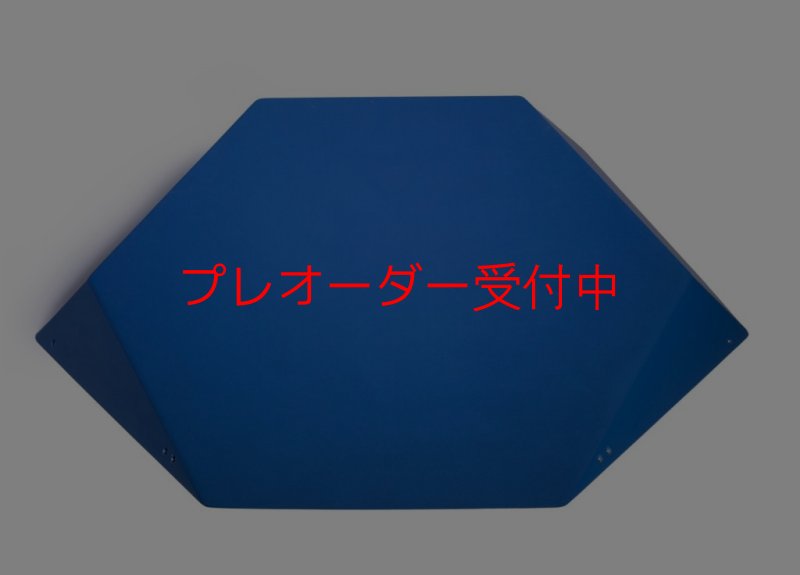 画像2: SQ　FRUTTI DI BOSCO PRO 10/プレオーダー (2)