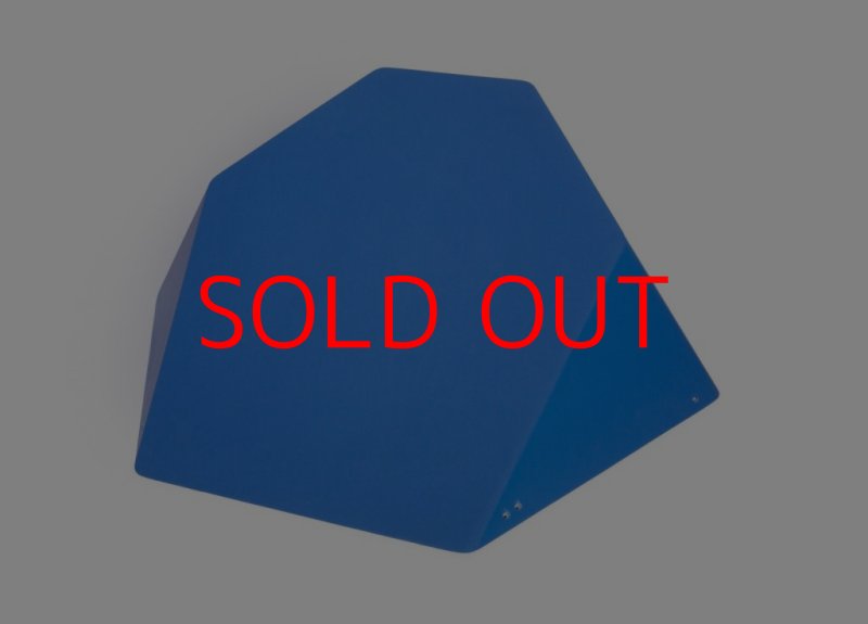 画像1: SQ FRUTTI DI BOSCO PRO 11 (1)